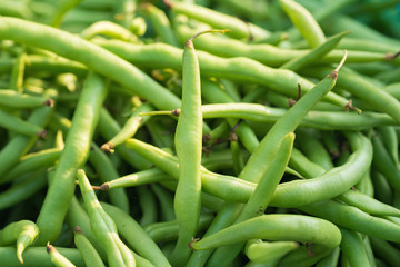 Group of green beans