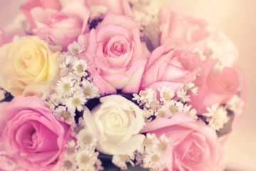 Obraz na płótnie Canvas Roses,flower background for Valentine's day.