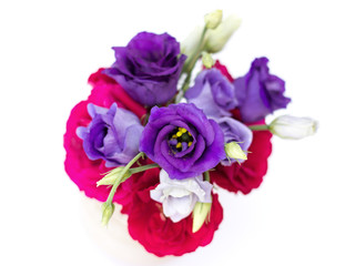 Fototapeta premium Eustoma grandiflorum on a white background
