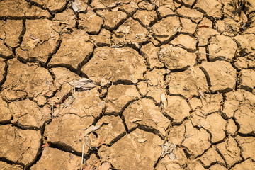 Land with dry and cracked ground in Tay Nguyen, Central Highlands of Vietnam