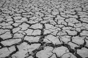 Dry and cracked ground in Tay Nguyen, central highlands of Vietnam. Monochrome