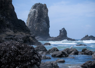 Oregon coast no filter 