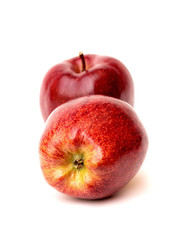Red apples on a white background