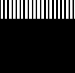 Referee Uniform in black and white