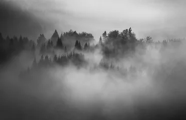 Foto op Canvas Zwart-wit landschap © Daniel M