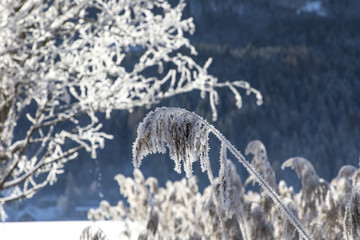 Panorama Winter am Weissensee in Kärnten, Österreich