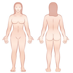 Female body - front view and back view.