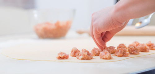 Obraz na płótnie Canvas Process of making ravioli, pelmeni or dumplings with meat on woo