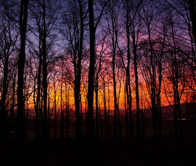 Fototapeta premium Forst at winter sunset