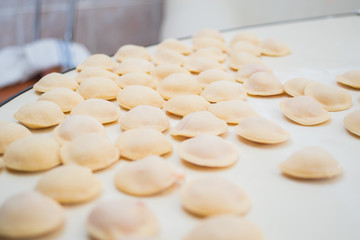 Process of making ravioli, pelmeni or dumplings with meat on woo