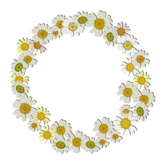 венок из ромашек на белом  фоне, векторная иллюстрация