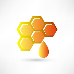 Honey icon vector