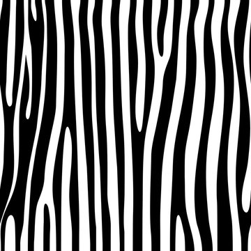 Zebra pattern. Seamless texture. Vector.