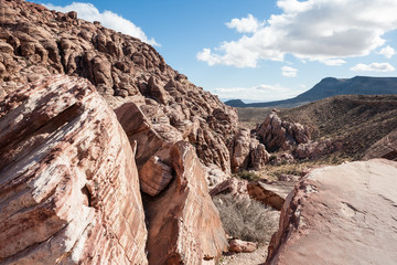 Red Rock Canyon National Conservation Area, Nevada