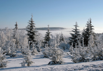 Winterlandschaft