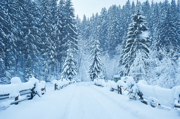 Fototapeta na wymiar Winter road after the snowfall
