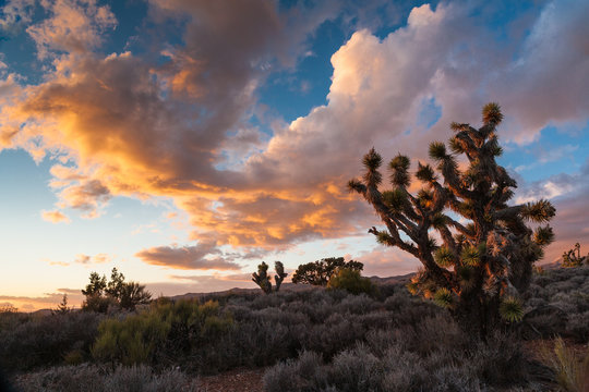 Sunset at Lovell Canyon Road between Las Vegas and Pahrump, Neva