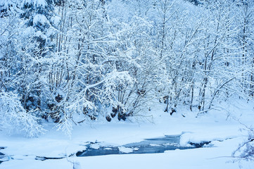 Winter mountain river after the snowfall