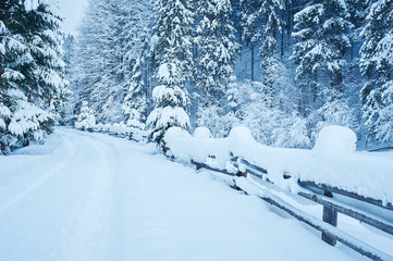 Winter road after the snowfall