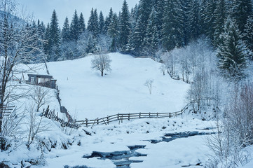 Winter mountain river after the snowfall