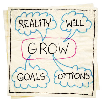goals, reality, will and options - GROW