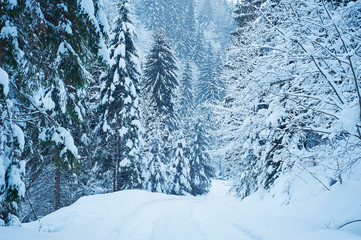 Winter road after the snowfall