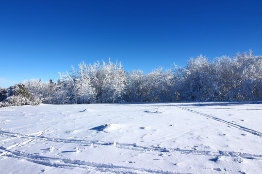Winter in der bayerischen Rh&ouml;n