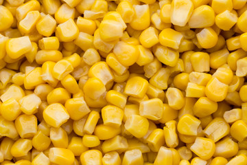 Bulk of yellow corn grains texture.