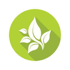 green leaves isolated on white background, organic icon. Vector.