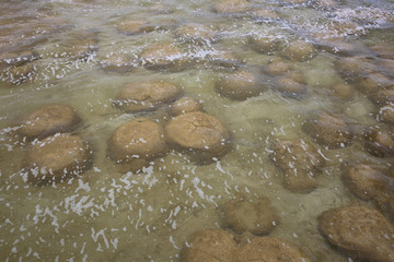 Stromatolithen bei Cervantes. Westaustralien 