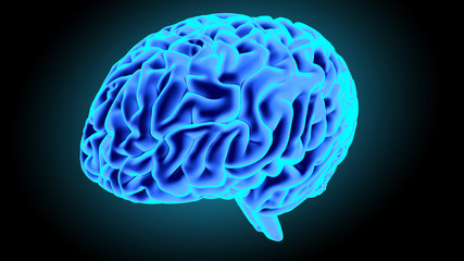 Human brain 3D render