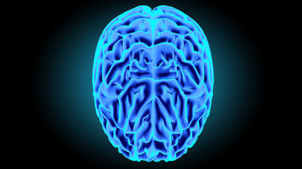Human brain 3D render