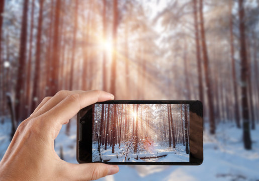 Hand making photo snovy trees on winter mountains.