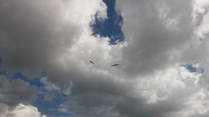 Clouds with eyes