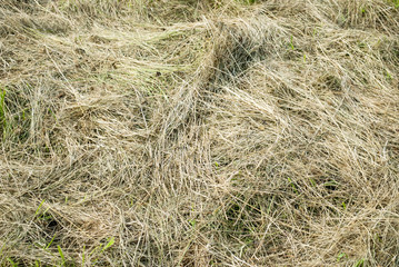 Heu, Heuwiese, Heuernte, Hintergrund Ostern