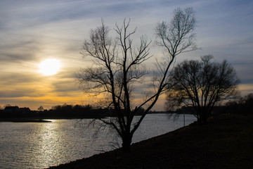 Fototapeta na wymiar River Rhine at sunset