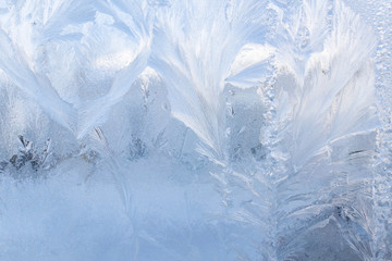 Obraz premium Frosty pattern dof