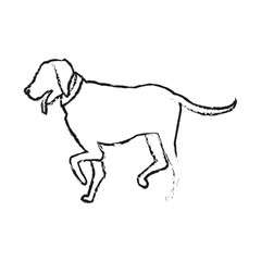 dog cartoon icon over white background. vector illustration