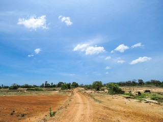 Fototapeta na wymiar Rough Gravel Road with Brown Dirt Blue Sky Clouds