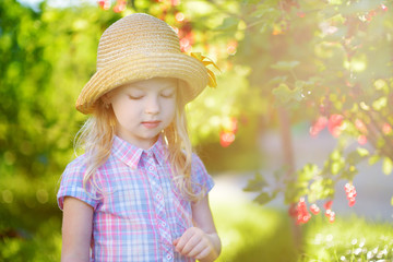 Cute little girl picking red currants in a garden