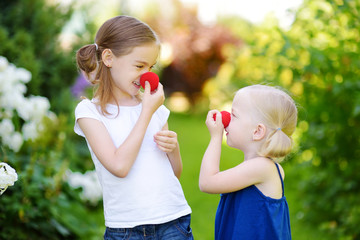 Happy little sisters wearing red clown noses