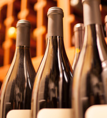 Wine bottles in cellar. 