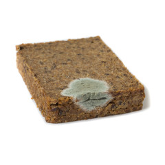 mold. Slice of bread covered with mold. Selective focus.