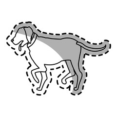 dog cartoon icon over white background. vector illustration