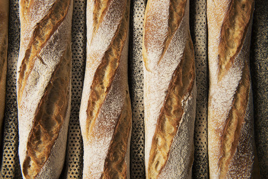 Close up of breadsticks on cooling rack