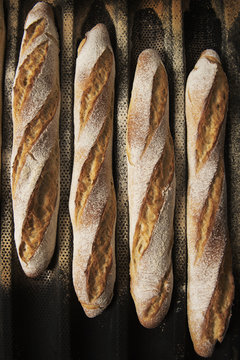 Overhead view of bread sticks on cooling rack