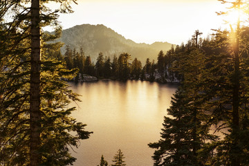 Scenic view of lake surrounded by trees during sunset