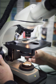 Cropped image of vet using microscope in clinic