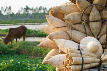 Vietnamese traditional bamboo fish traps against cultivation field with water cow on background