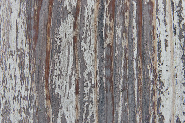 Old wood texture